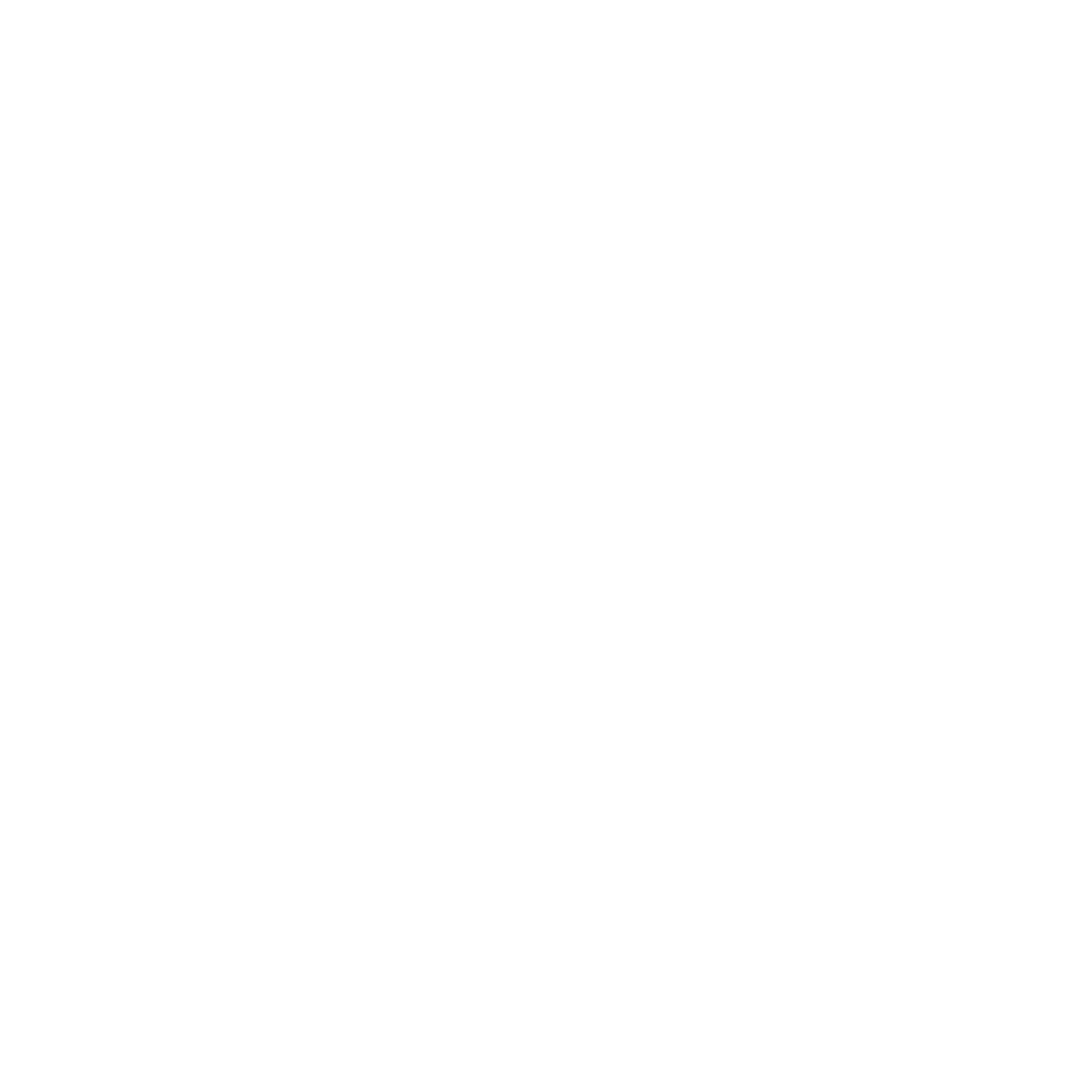 SnapElegance Logo